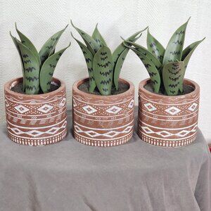 Old East Main Faux Green Plant in Ceramic Terracotta Tribal Pot Set of 3 4"Wx9"H